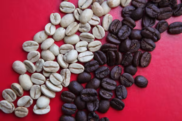 Maillard Reaction Coffee Photo Credit: Jennifer Martin